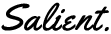 GlobalViizon